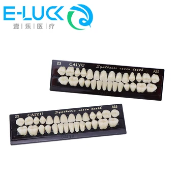 Diş araçları Diş Modeli odontologia Reçine Diş Malzeme Karşılaştırıcı Evrensel Resi Yanlış Modeli Dayanıklı Protez Diş Öğretim